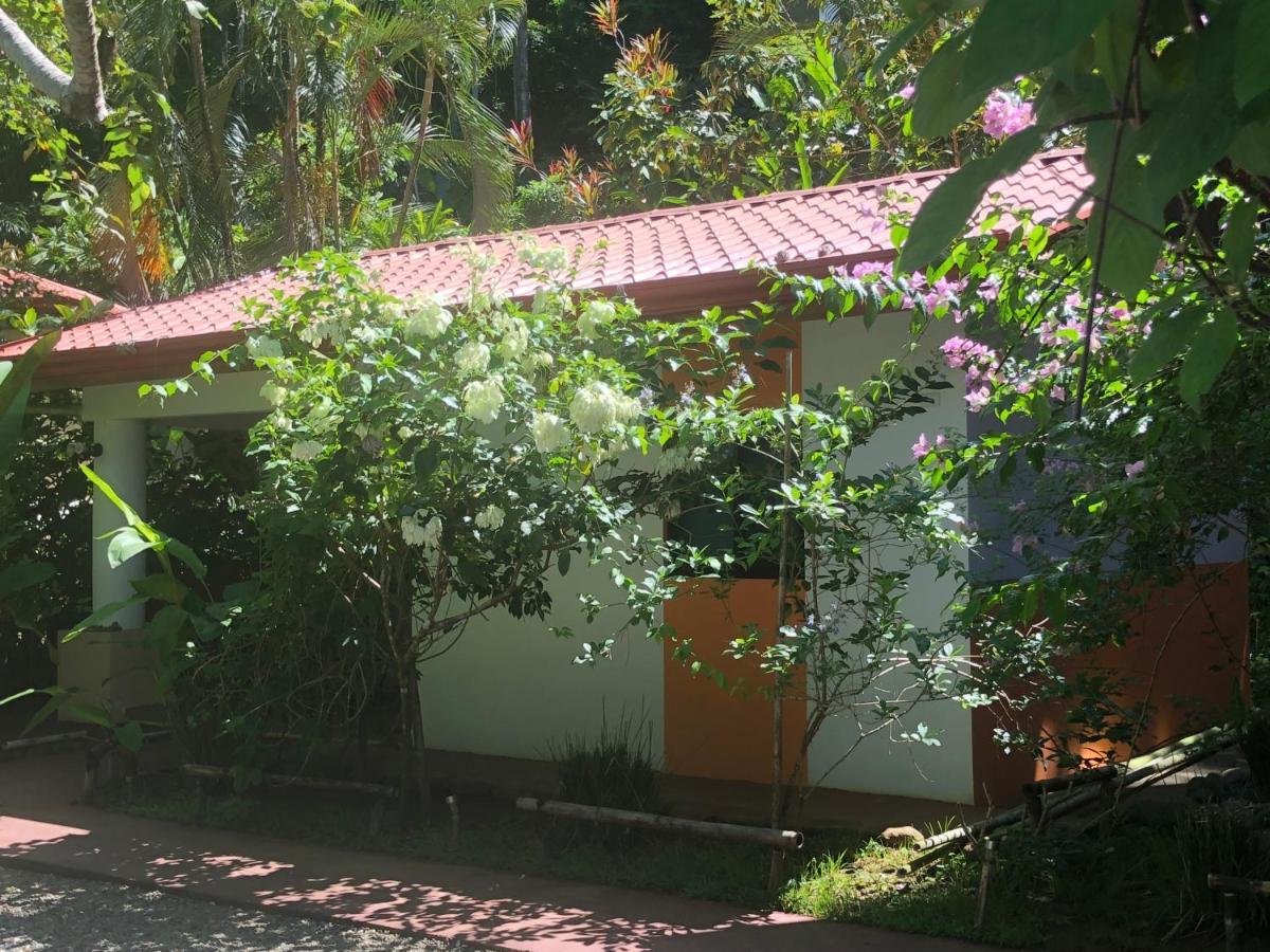 Casa Del Toucan Dominical Luaran gambar