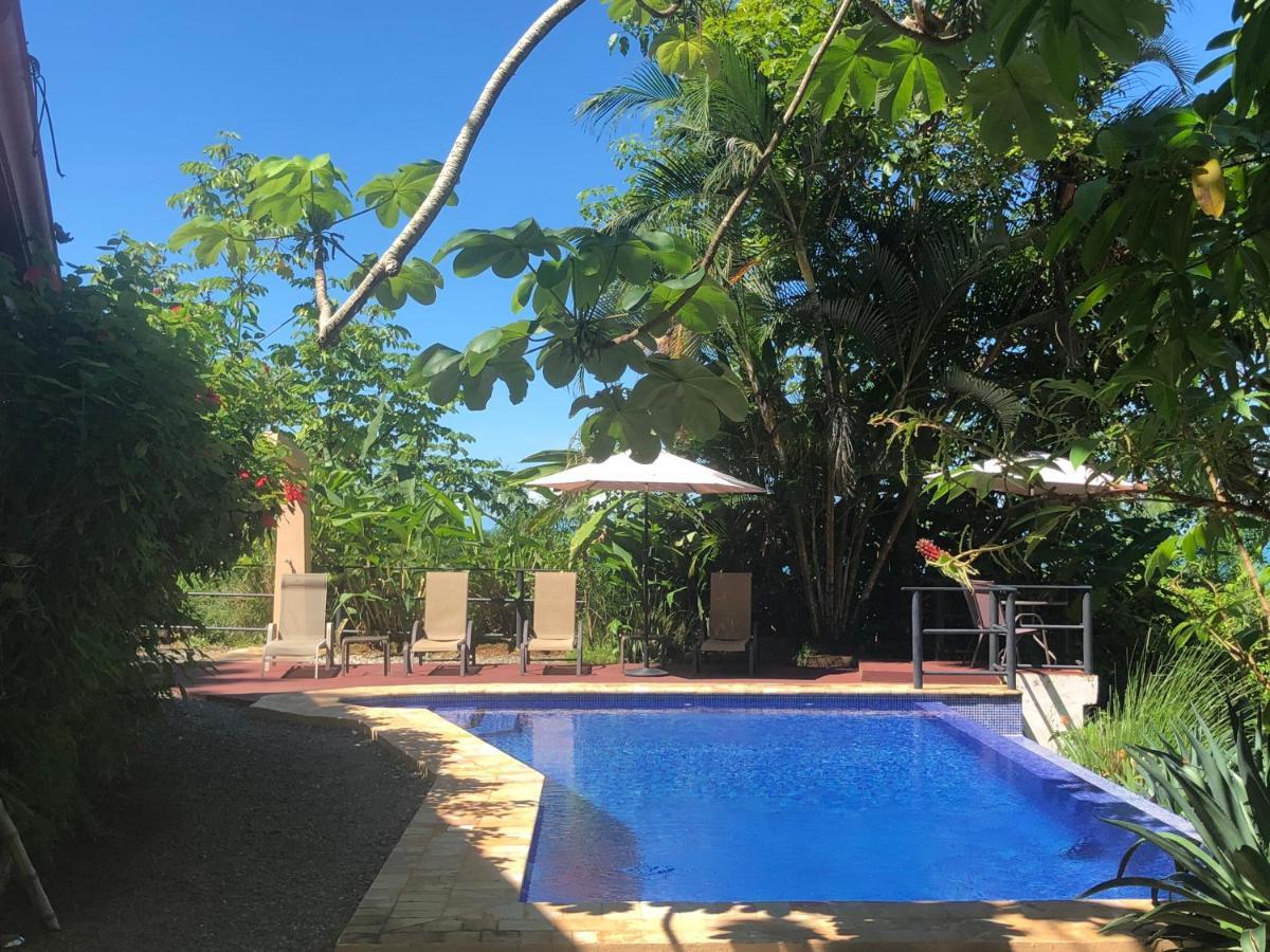 Casa Del Toucan Dominical Luaran gambar