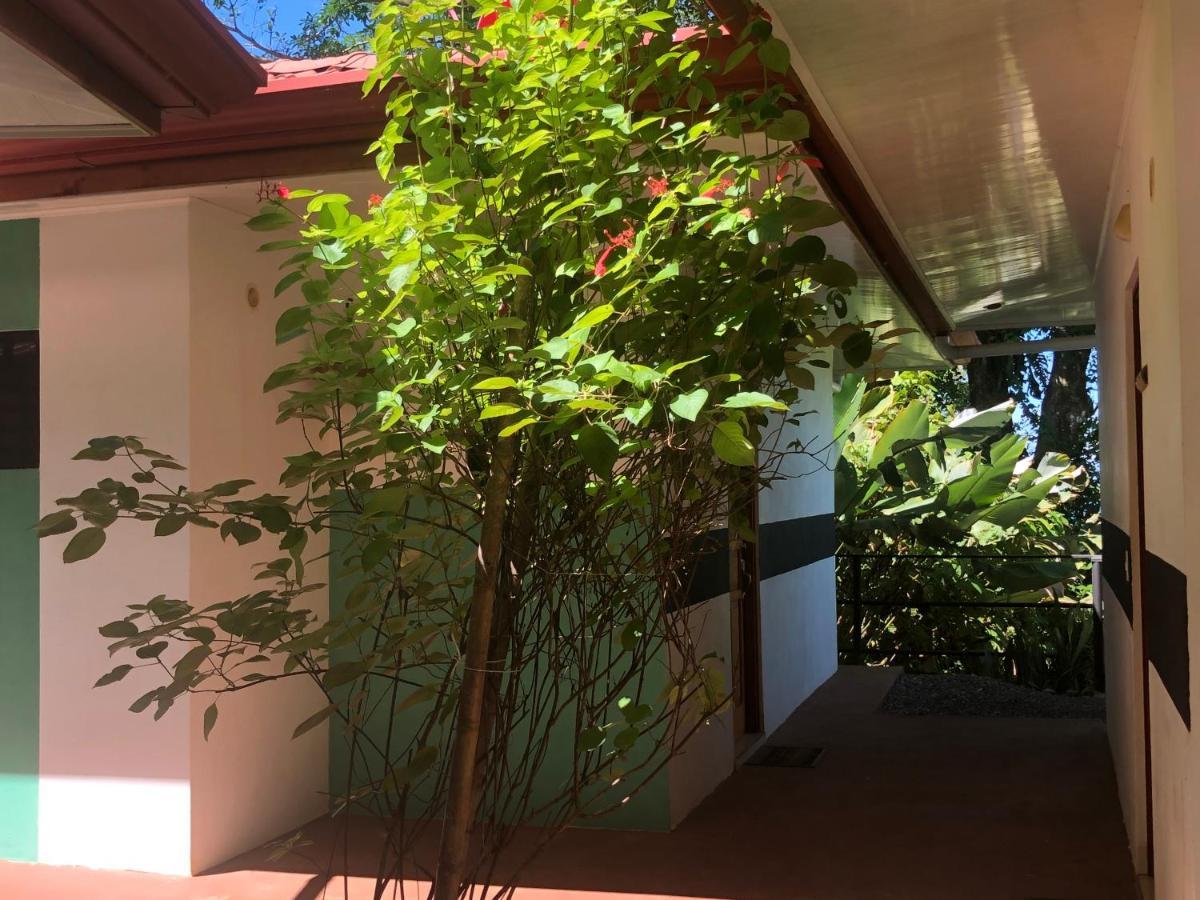Casa Del Toucan Dominical Luaran gambar