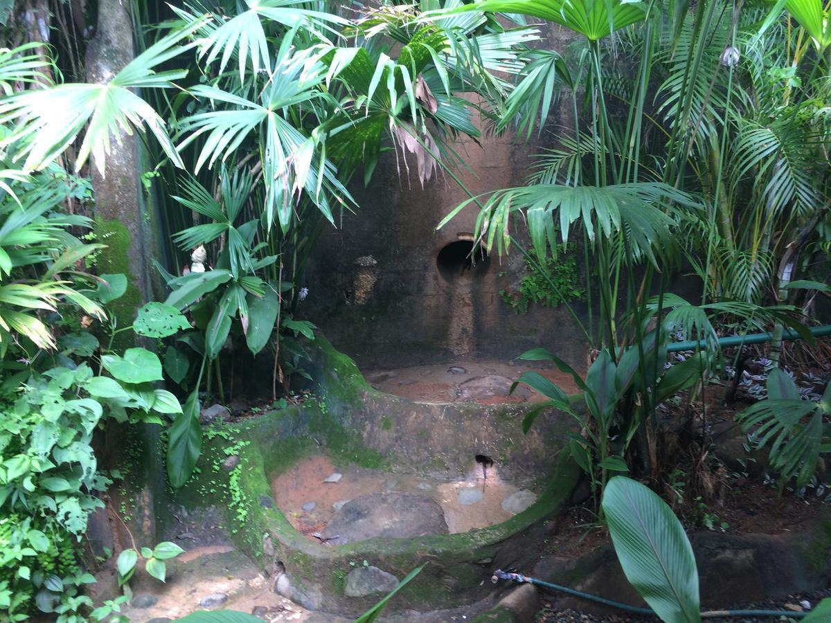 Casa Del Toucan Dominical Luaran gambar