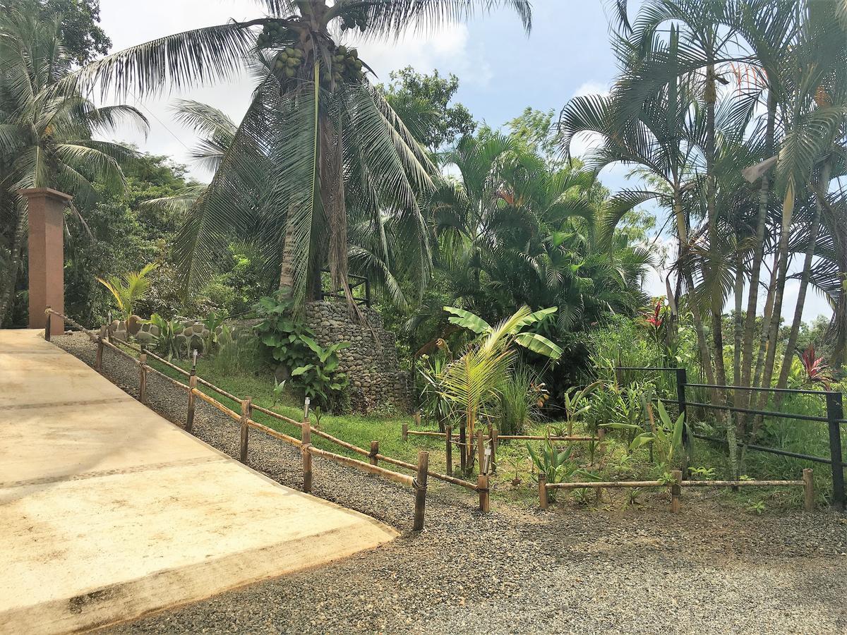 Casa Del Toucan Dominical Luaran gambar