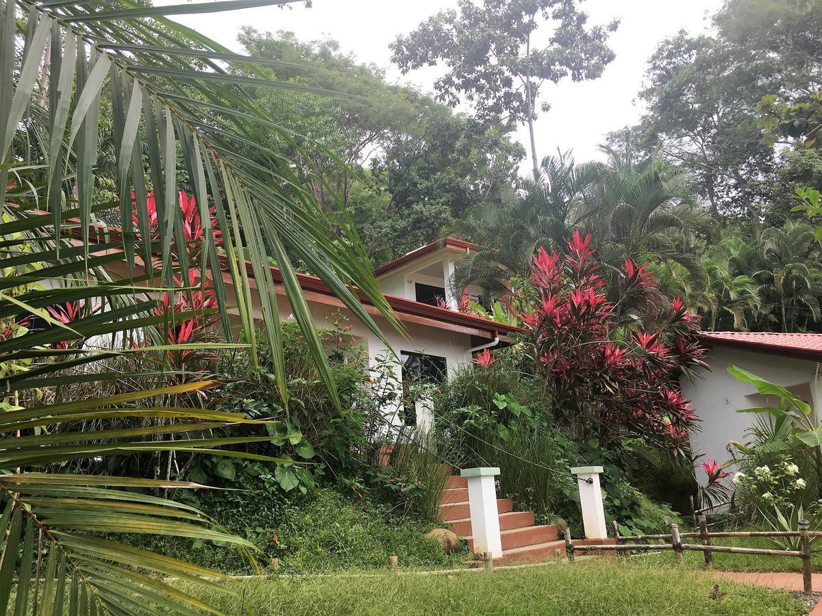 Casa Del Toucan Dominical Luaran gambar
