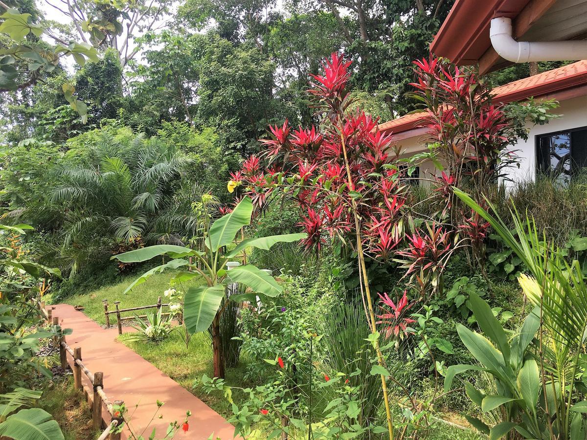Casa Del Toucan Dominical Luaran gambar