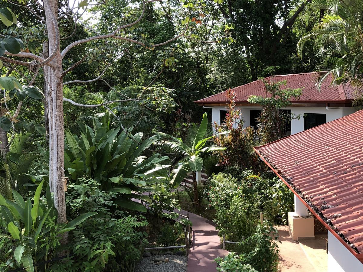 Casa Del Toucan Dominical Luaran gambar