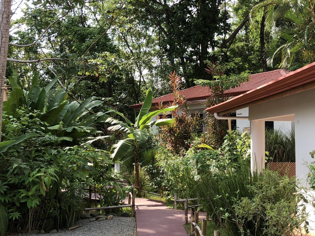 Casa Del Toucan Dominical Luaran gambar
